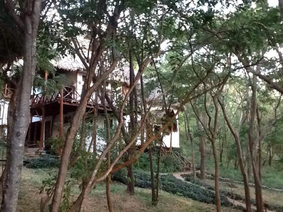 Tuani Ecolodge Tola Kültér fotó